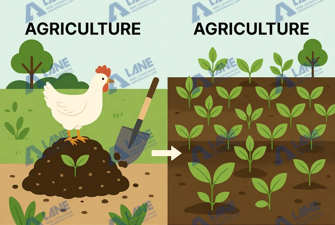 كيفية معالجة روث الدجاج