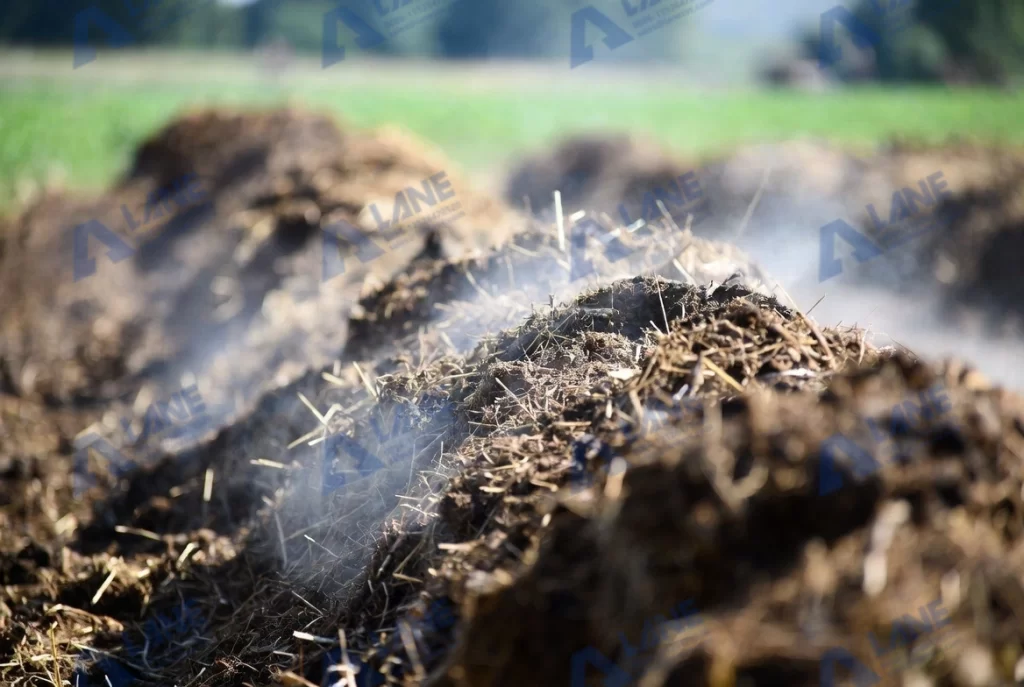 كيفية معالجة روث الدجاج