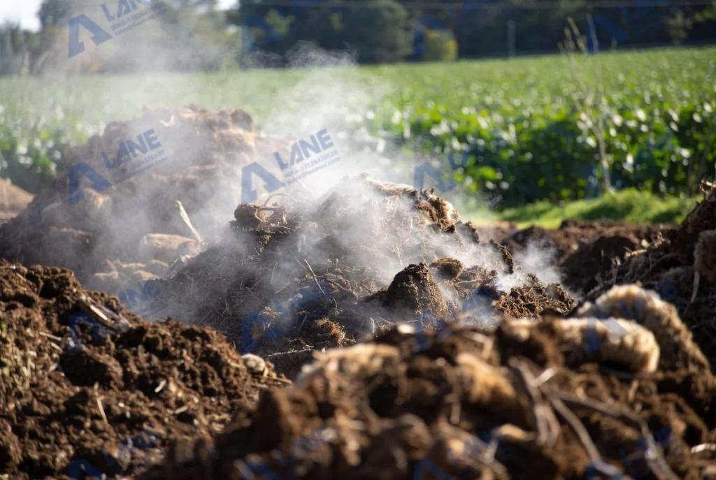 كيفية معالجة روث الأغنام