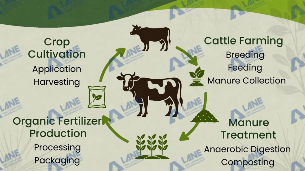 حل معالجة روث مزارع الأبقار الكبيرة
