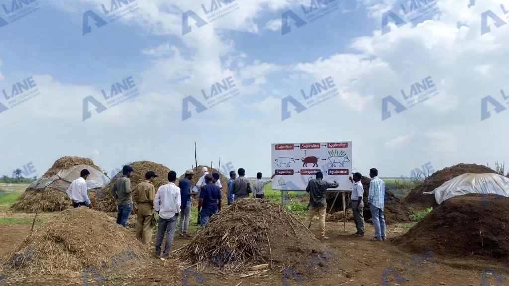 معالجة روث الخنازير في نيجيريا