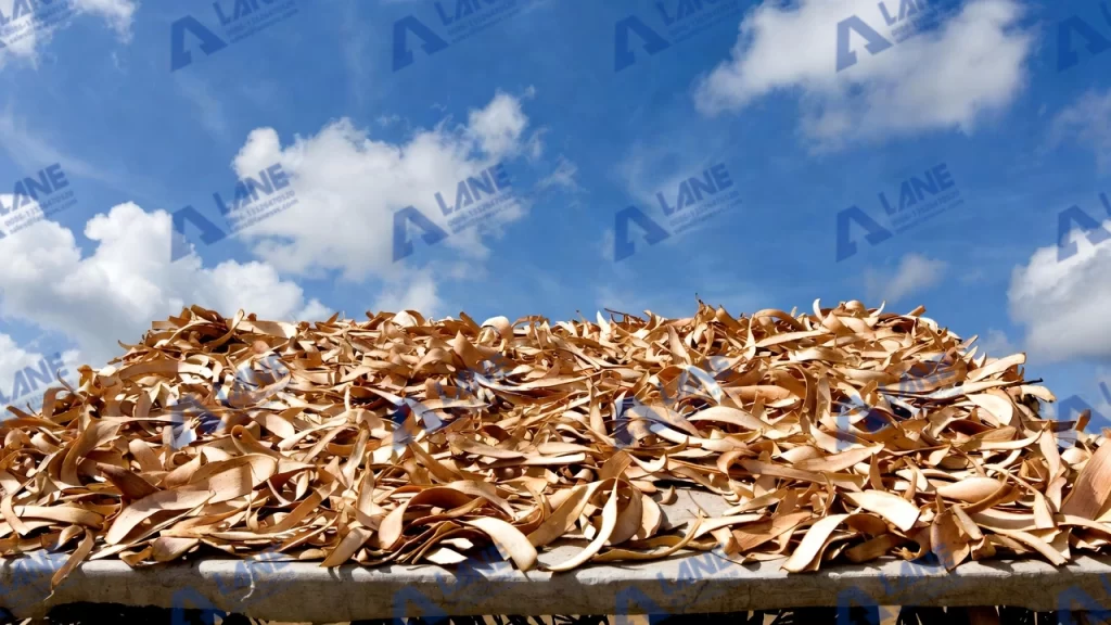 قيمة استخدام قشر الكسافا كعلف