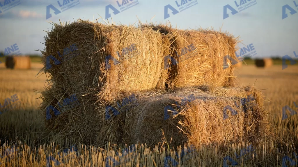 طريقة إنتاج أعلاف قش القمح